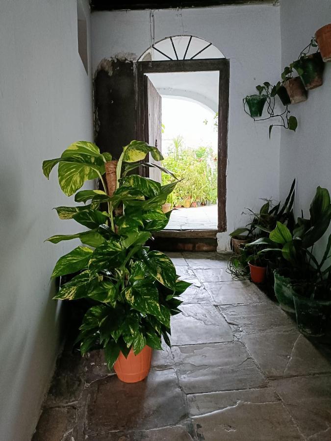 ベヘール・デ・ラ・フロンテーラCasa Amalfi, Coqueta Casa Centro Historico De Vejerアパートメント エクステリア 写真