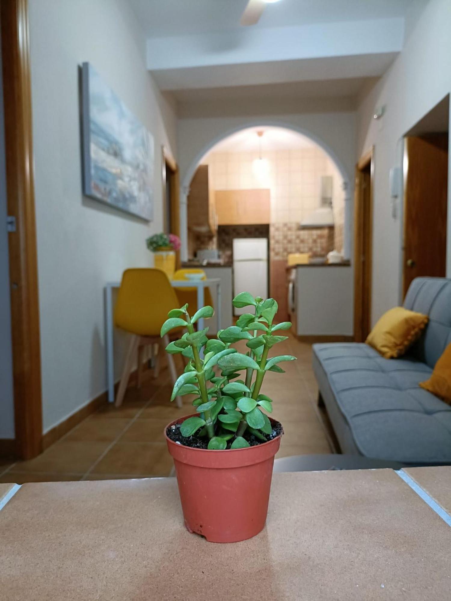 ベヘール・デ・ラ・フロンテーラCasa Amalfi, Coqueta Casa Centro Historico De Vejerアパートメント エクステリア 写真